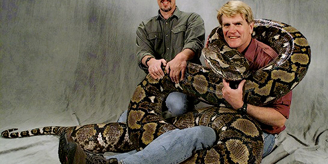 Самая длинная змея планеты, которой не повезло с маркетингом. Не анаконда 😉