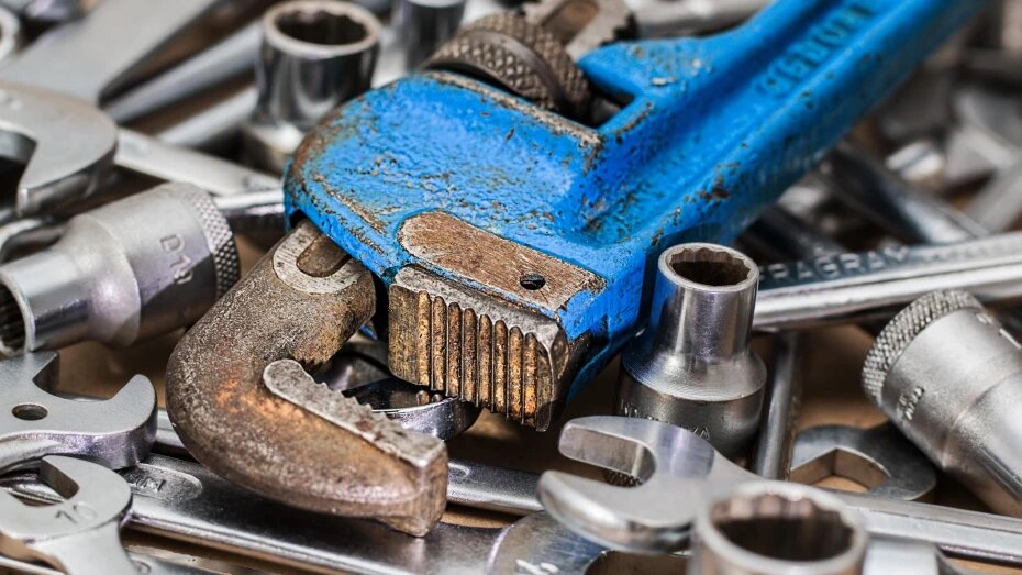    Автор фото: pxhere.com