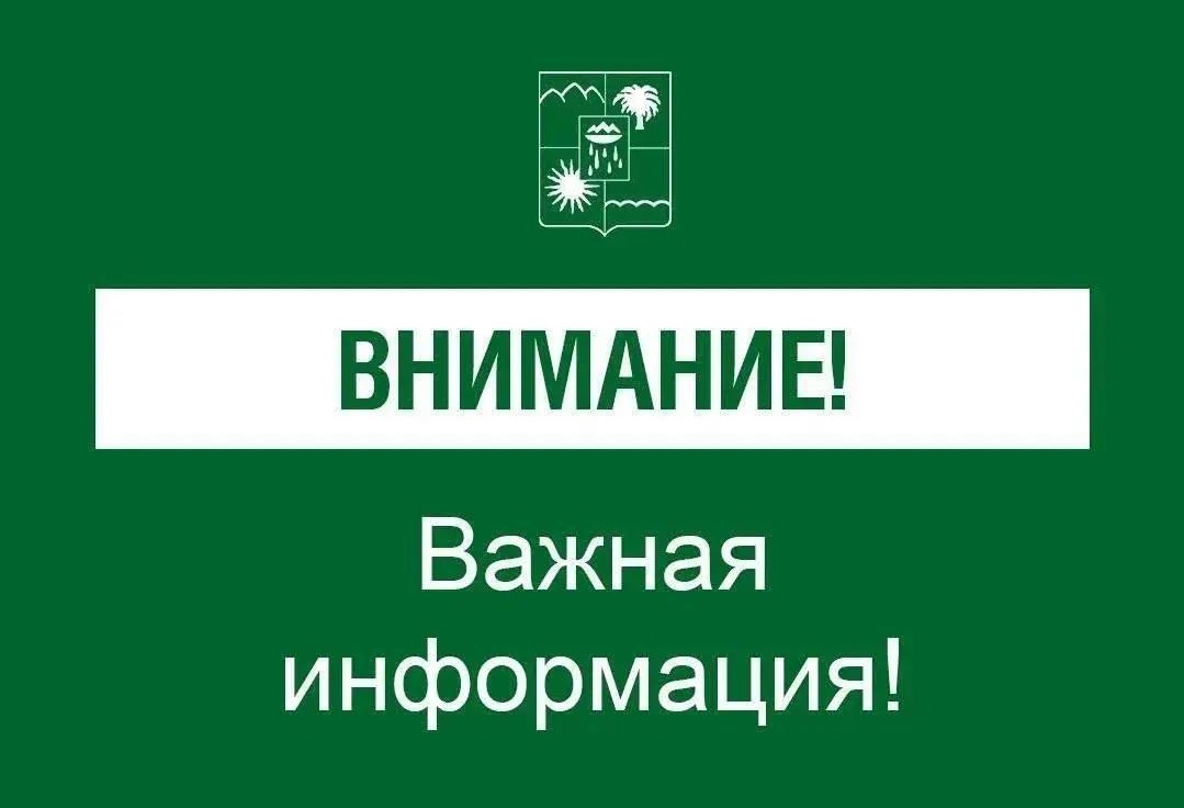 фото: администрация Сочи  📷
