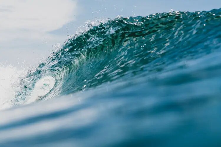    Фото: scientificrussia.ru Дамир Макеев