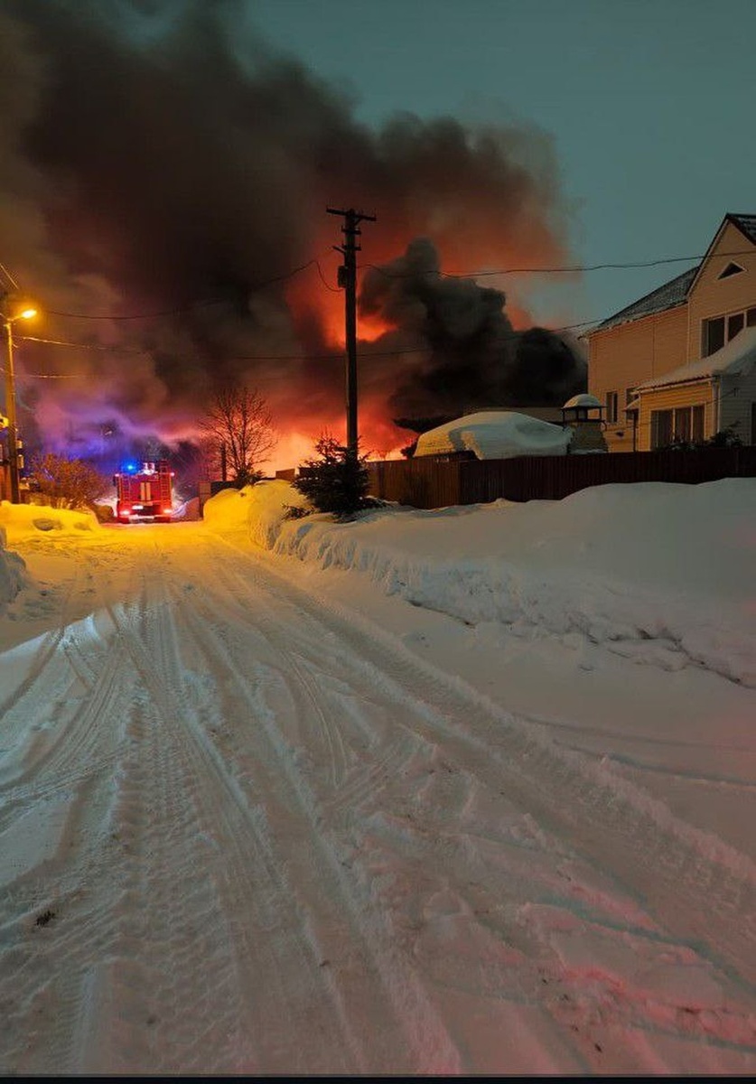 Во второй семье первой проснулась хозяйка дома. Фото: предоставлено КП-Новосибирск