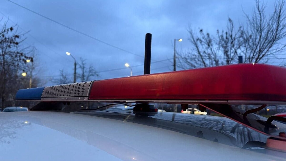    Фото: телеканал «Краснодар»