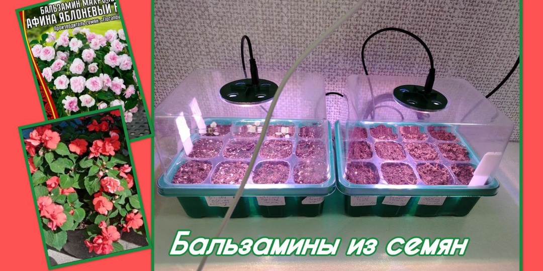 📌 На заметку