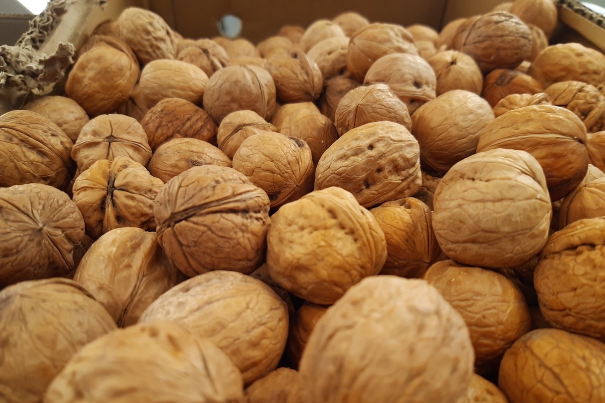 Фото: ИА "Регион71"