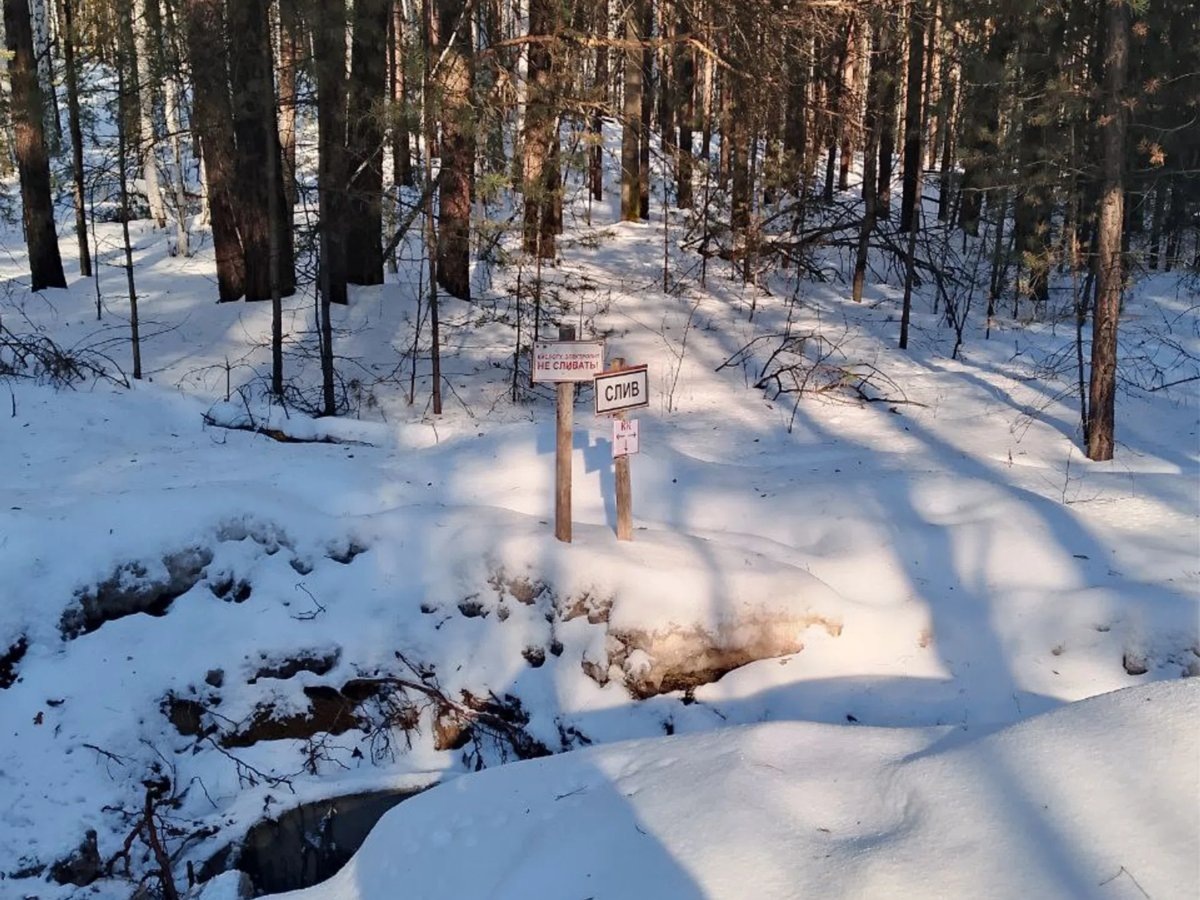    До колодца в лесу идет хорошо укатанная дорога