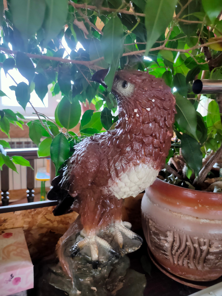 Фото из архива автора