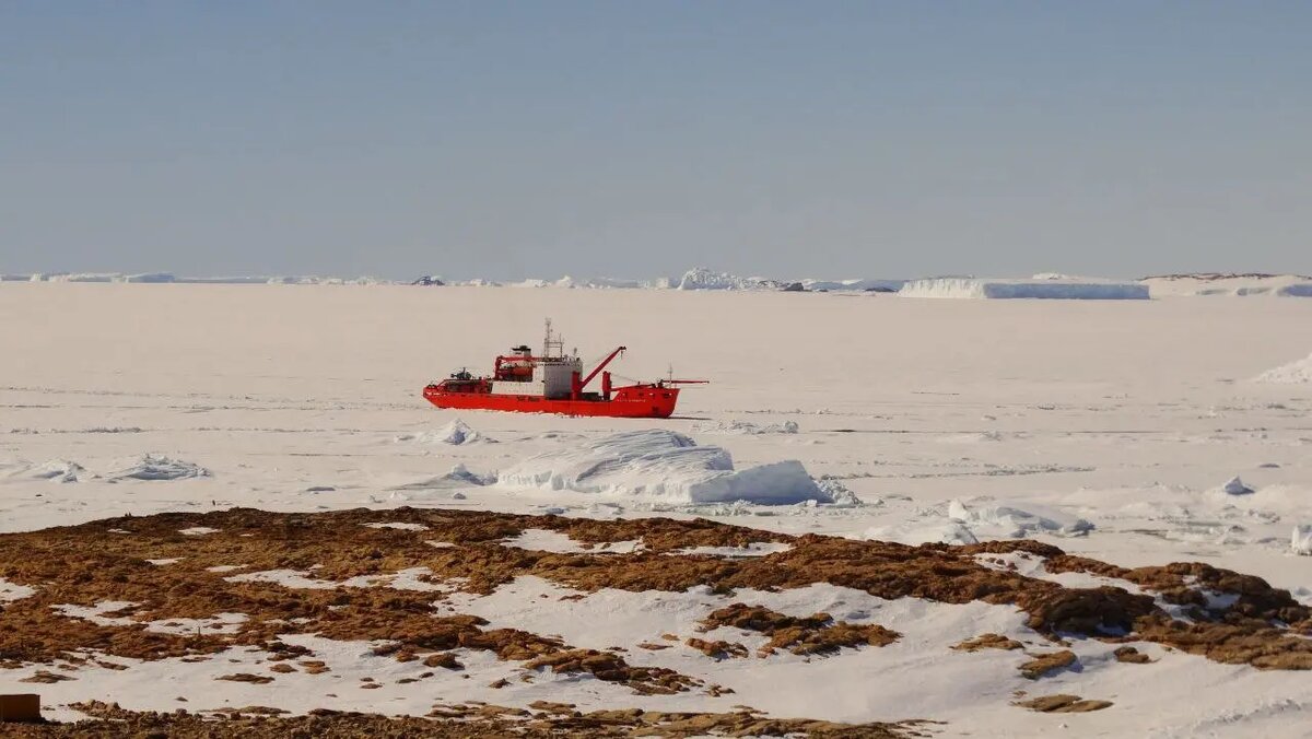    Фото предоставлено пресс-службой МТС