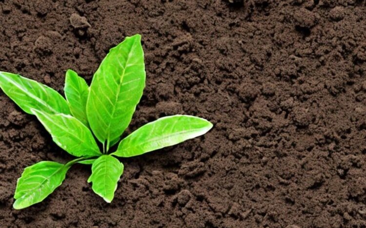    Фото: Медведева Анна, AgroXXI.ru