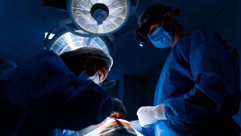    Фото: Rabizo Anatolii/Shutterstock/Fotodom