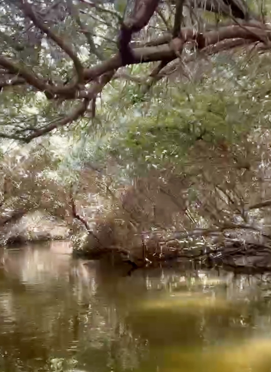 Все фото в статье авторские