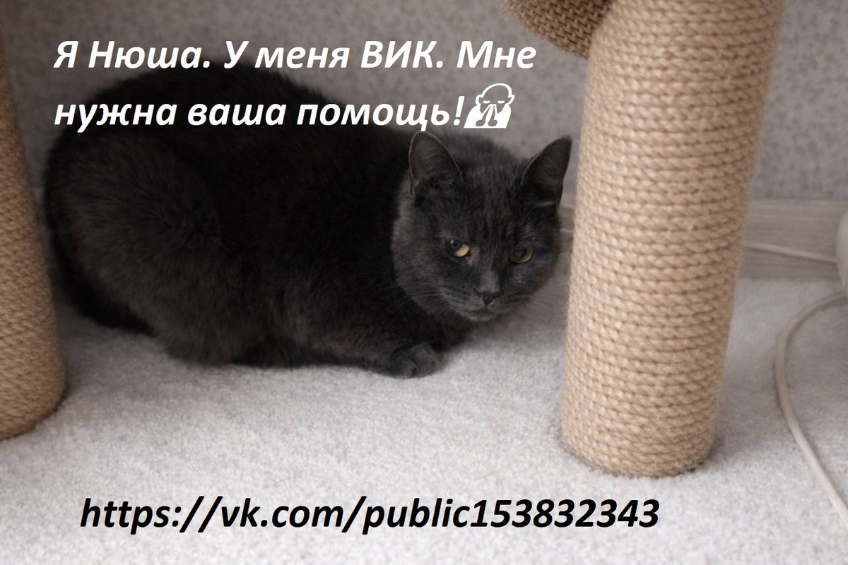 Мне постоянно нужны лекарства, чтобы не стало хуже 💊💉