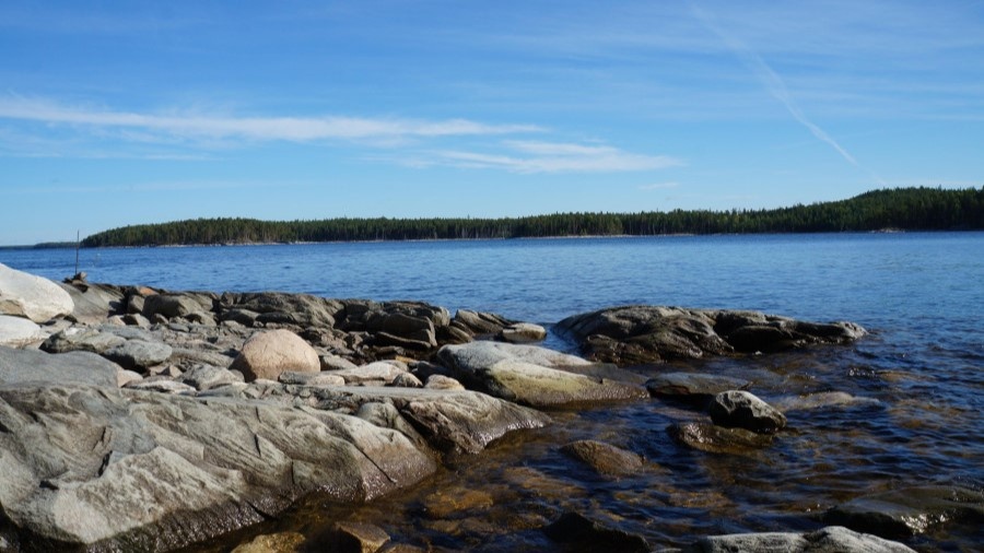 На берегу Сегоозера. Фото со страницы пользователя losharic в LiveJournal