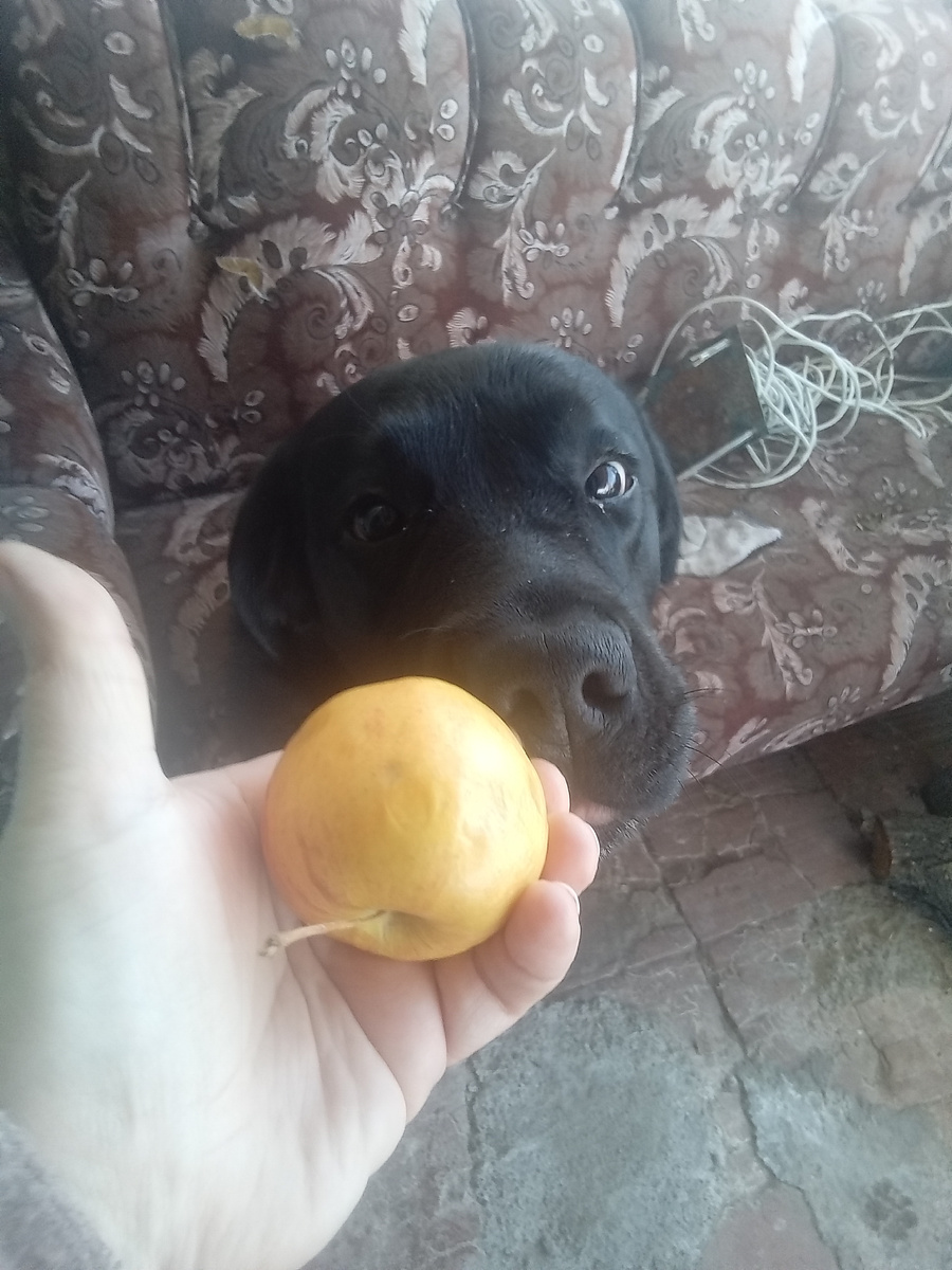 Фото автора. 