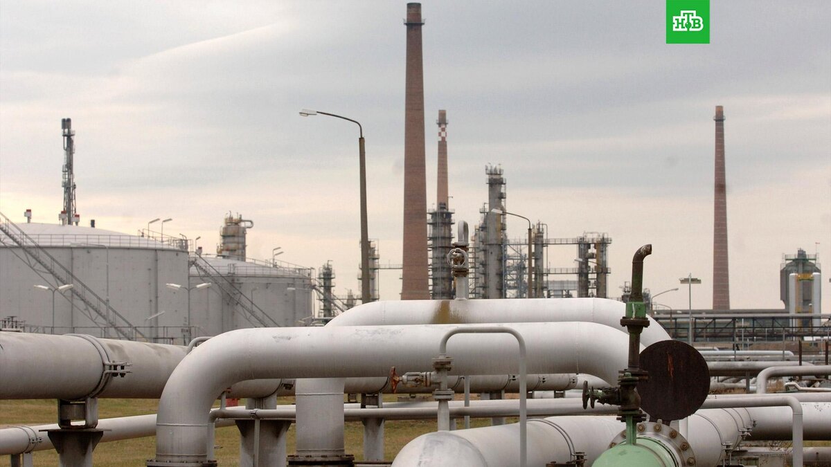    Фото: Associated Press © 2026, Sven Kaestner