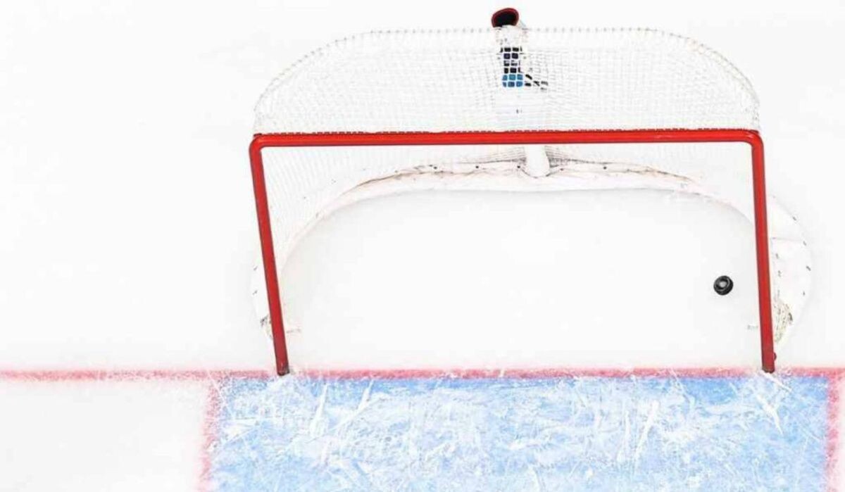     Хоккейные ворота и шайба. Источник: tass.ru Автор фото: Егор Алеев/ ТАСС