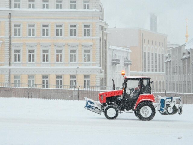    Фото: Москва 24/Никита Симонов