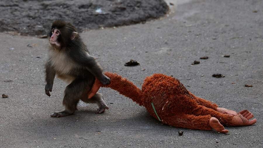    Фото: REUTERS/Kim Kyung-Hoon