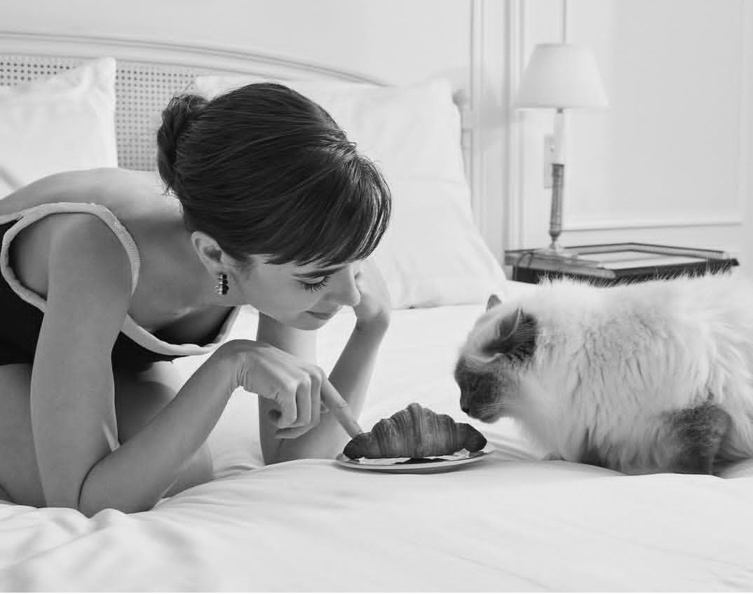 Актриса Лили Коллинз. Материал: Lily Collins.