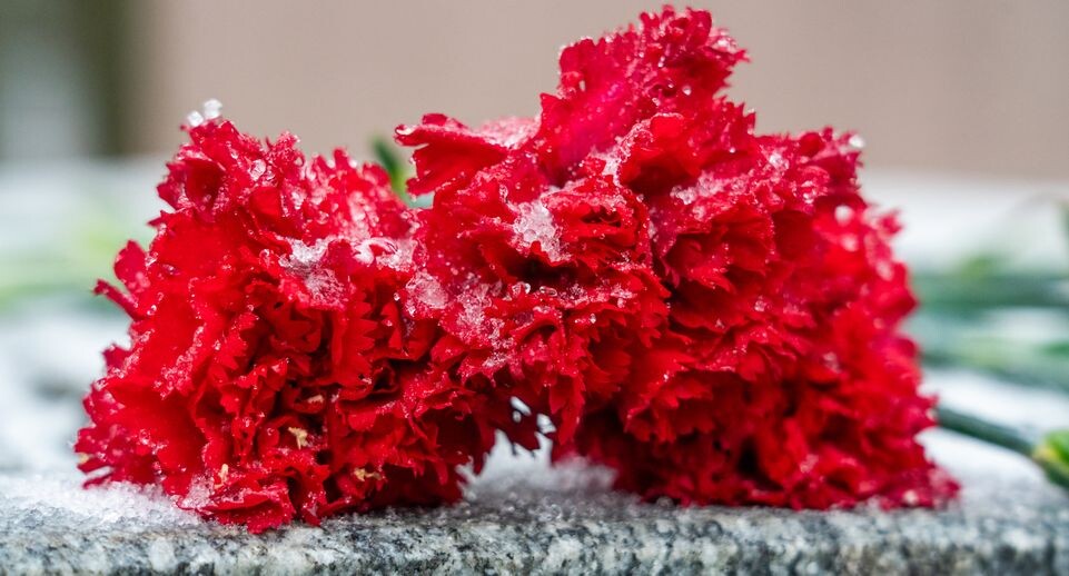    Медиасток.рф