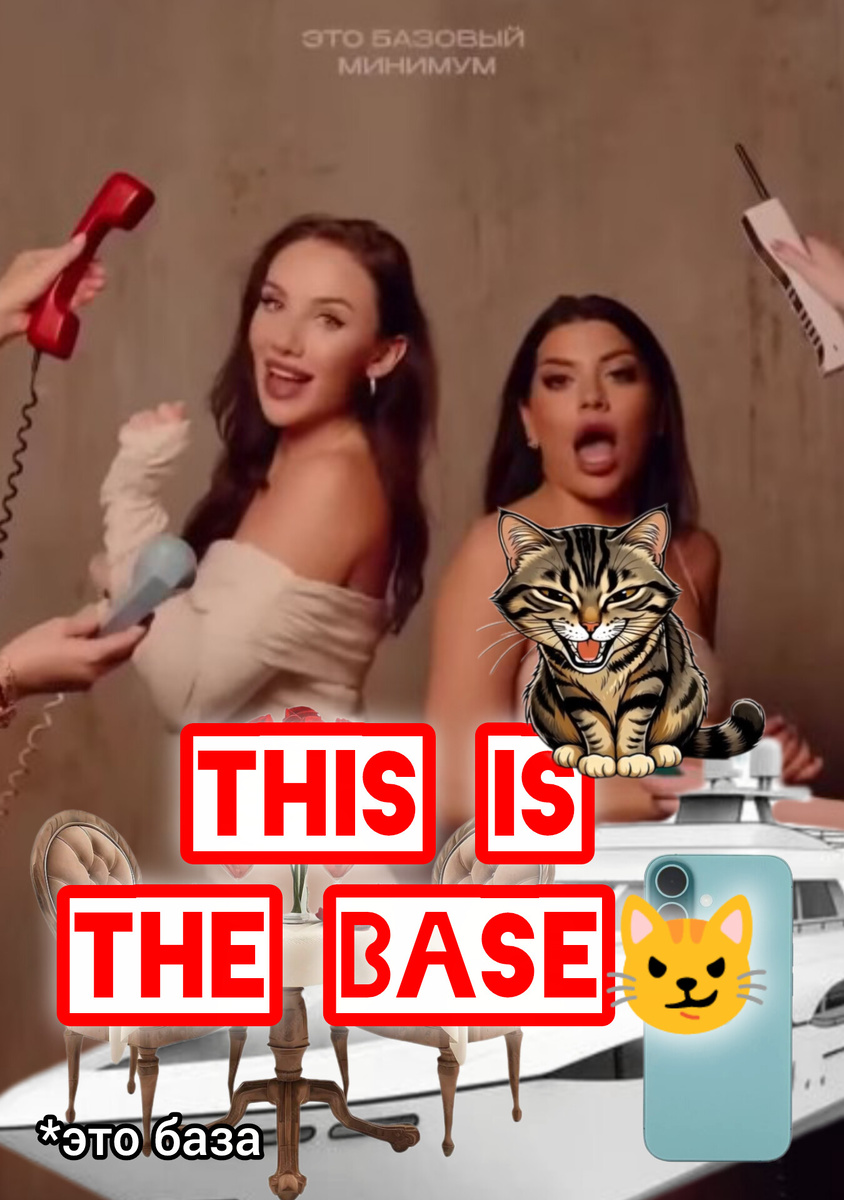 «Кот Анчоус слушает "Базовый минимум" и вспоминает, сколько раз его кидали на корм»