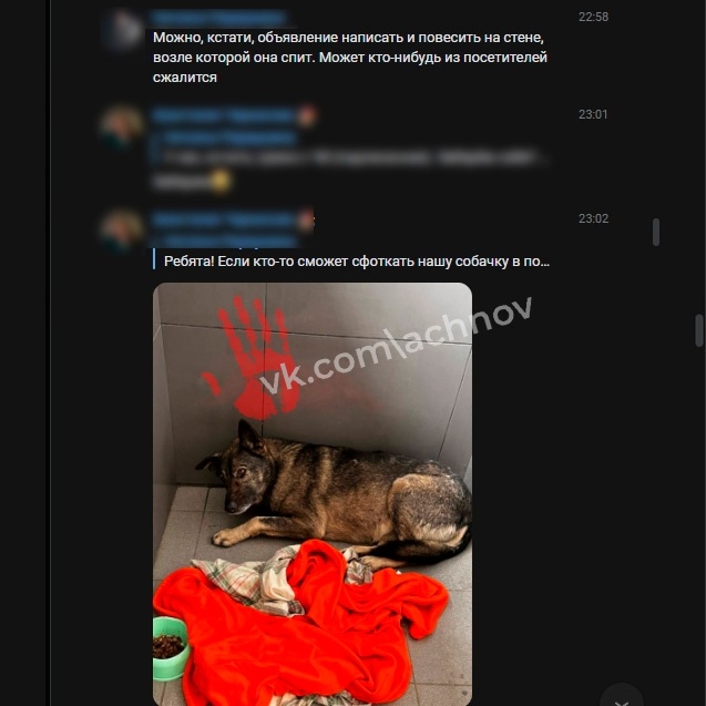 Автор фото: соцсети