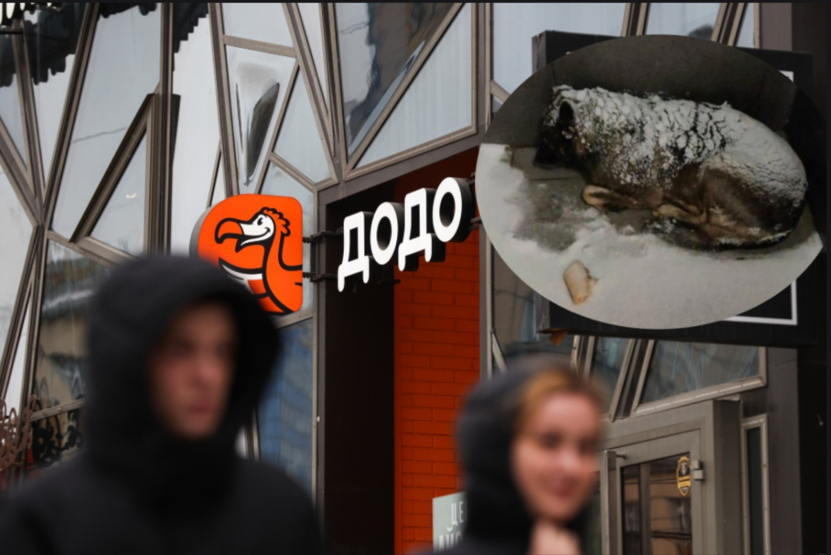 Автор фото: ТАСС / соцсети / Коллаж "ДП"