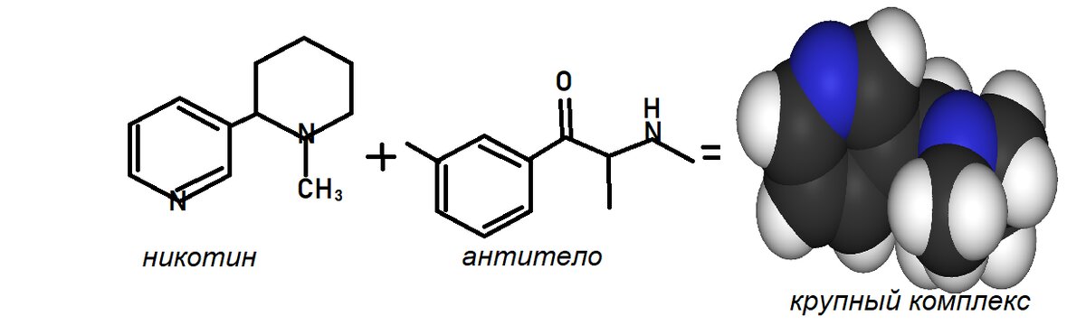 рисунок автора (примерная схема действия)