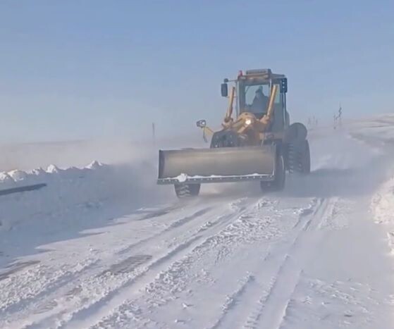    Фото: Забавтодор