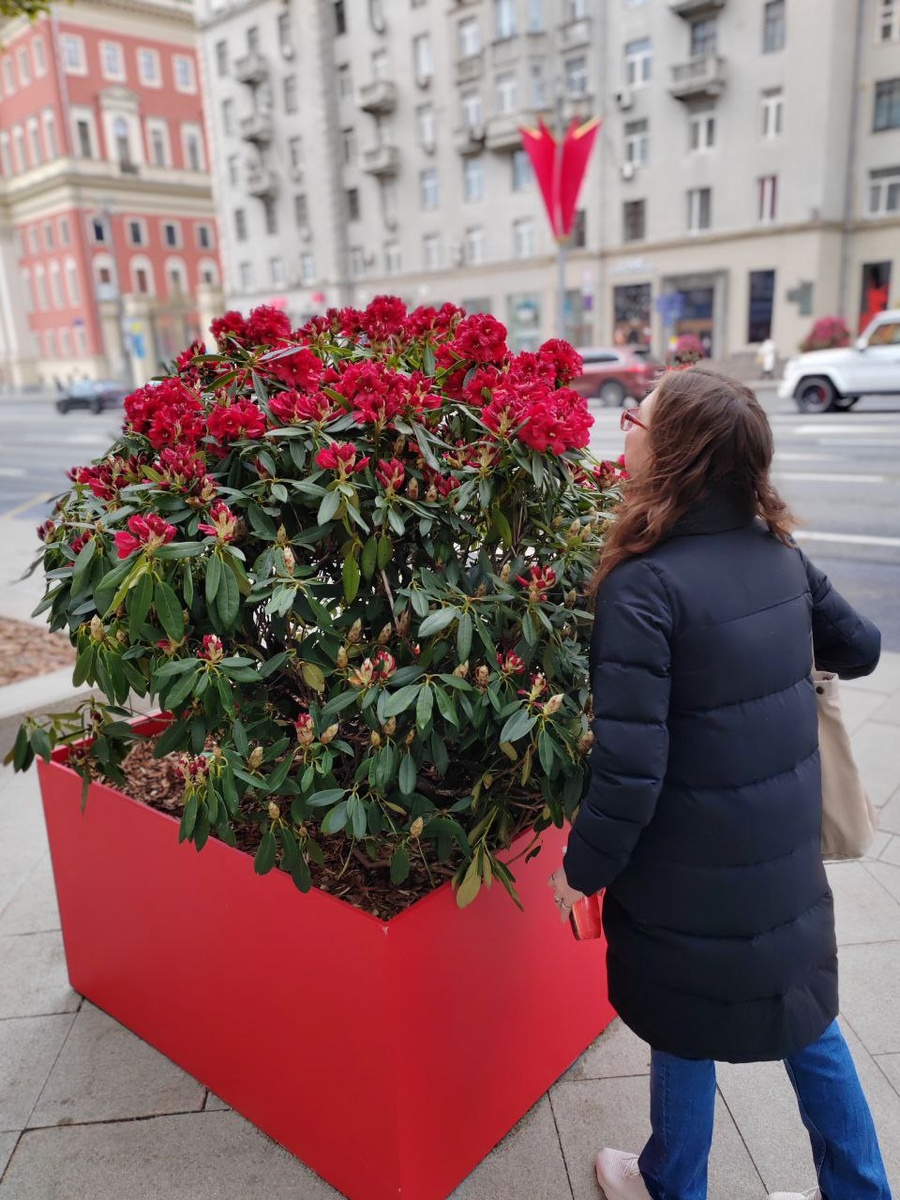 для начала принюхаемся