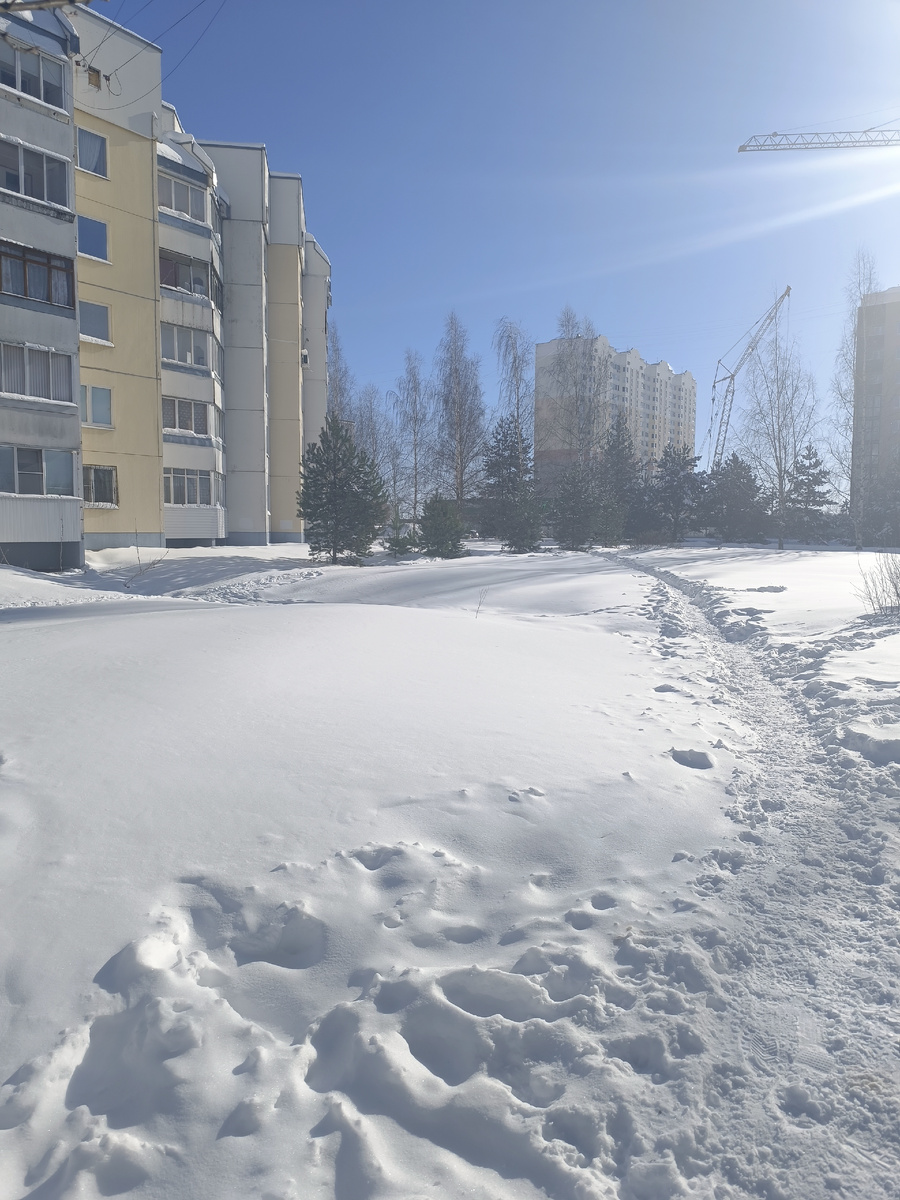 За моим домом