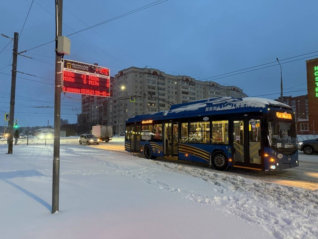    Яна Пивцайкина