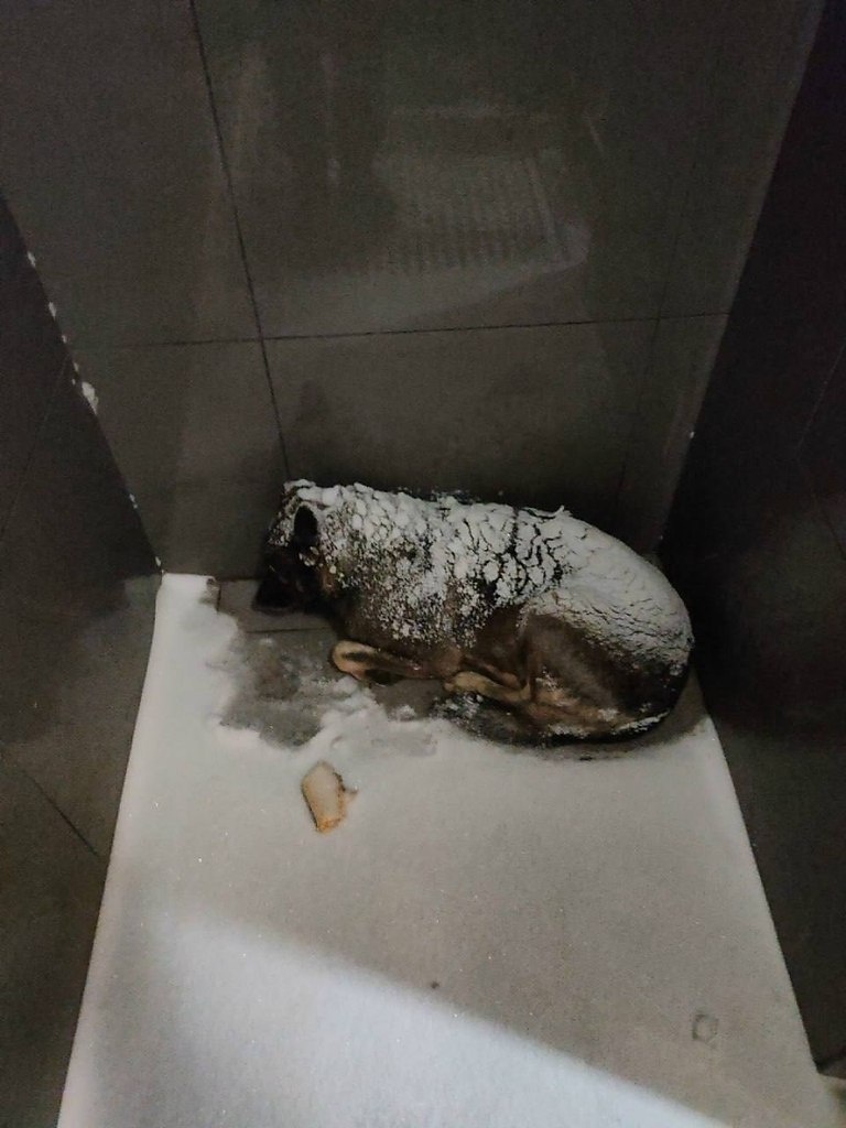 Источник: Яндекс Картинки Фото взято с сайта: https://i07.fotocdn.net/s219/14906220e69b6ceb/public_pin_l/3032157869.jpg