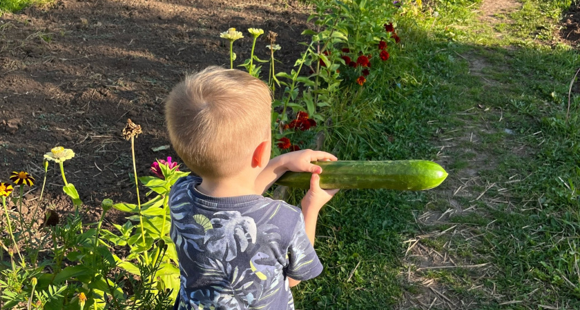    Фото: progorod43.ru