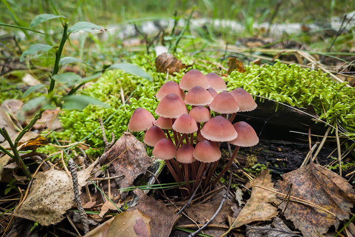    Фото Андрея Заржецкого