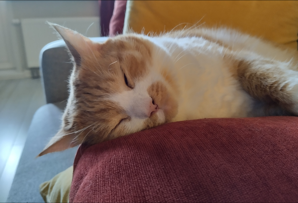 Топай на работу - у меня паштеты закончились!