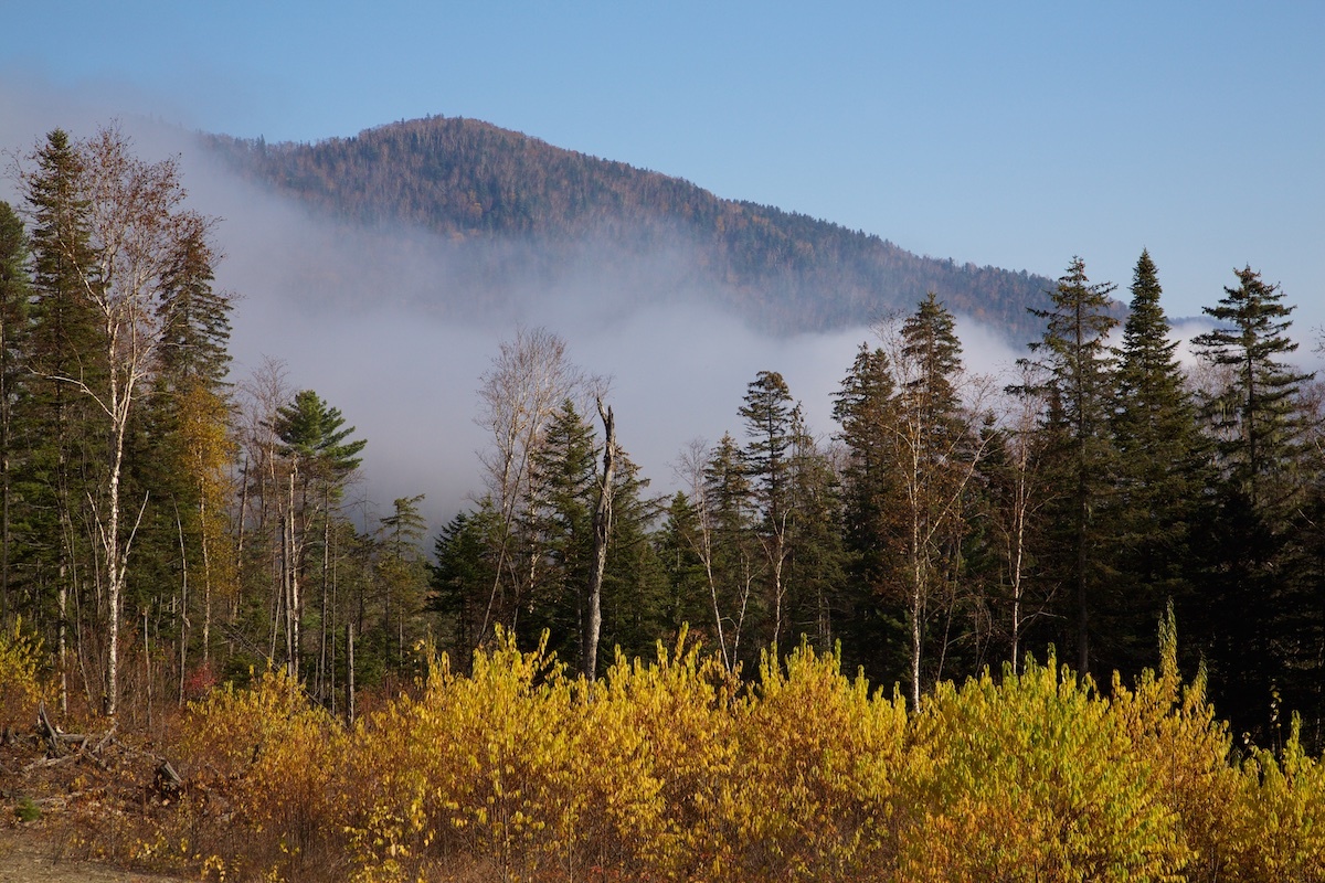 фото с сайта: https://yandex.ru/images/search?img_url=https%3A%2F%2Fmedia.nazaccent.ru%2Fstorage%2Fblog%2Fimages%2F2019%2F09%2Fj0yh7n.jpg&lr=35&pos=20&rpt=simage&text=%D0%B0%D0%BC%D1%83%D1%80%D1%81%D0%BA%D0%B0%D1%8F%20%D1%82%D0%B0%D0%B9%D0%B3%D0%B0%20%D1%84%D0%BE%D1%82%D0%BE%20%D0%BE%D1%81%D0%B5%D0%BD%D1%8C%D1%8E