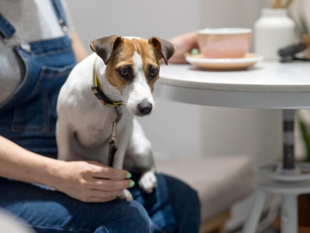    Фото: 123RF.com/mrwed54