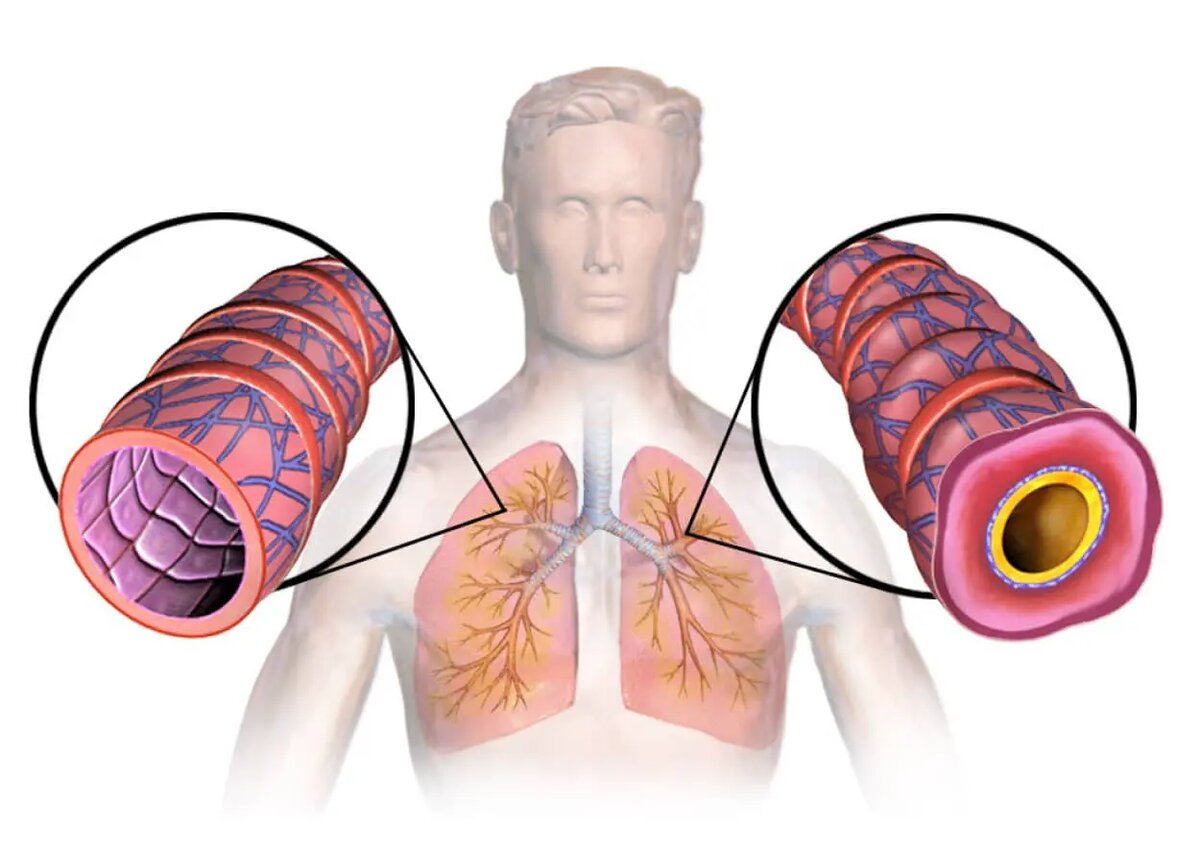    Фото: naked-science.ru Артем Назаров