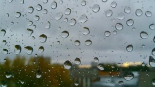    редакция Юлия Виноградова