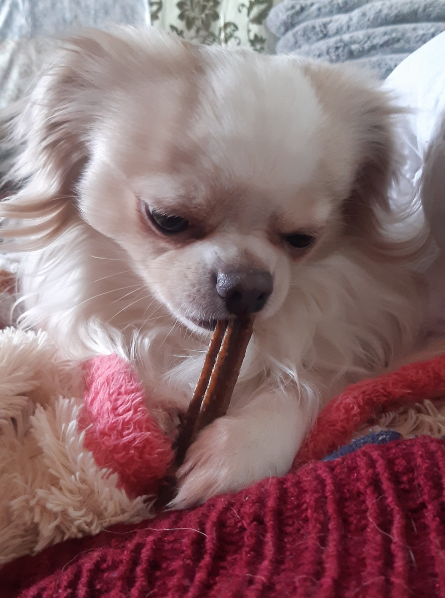 Кушаем погрызайку внимательно.