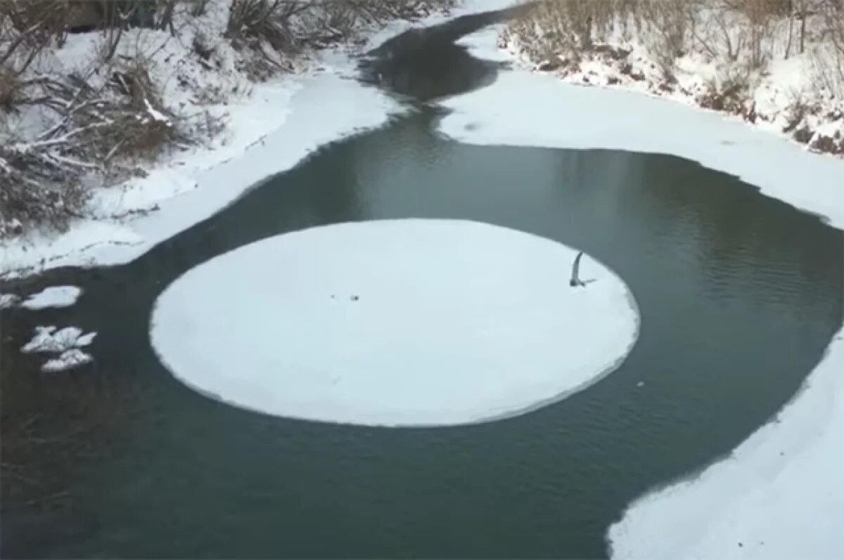    Рыбаки застряли на льдине Финского залива в Ленобласти