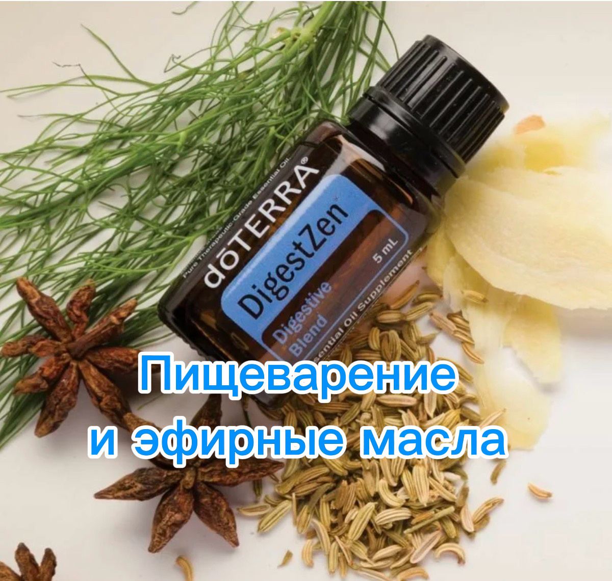 Дайджест Зен - спасатель для пищеварения! 🌿🍃

Знакомы ли Вам те моменты, когда желудок капризничает: укачивание в дороге, тяжесть после еды или просто дискомфорт в ЖКТ? 

Смесь эфирных масел Digest Zen (Дайджест Зен) — уникальная комбинация имбиря, фенхеля, кориандра, мяты, эстрагона, аниса и тмина — мягко поддерживает пищеварение, облегчает желудочный дискомфорт и помогает ЖКТ работать как часы😉

Физическая польза:

👉Поддерживает пищеварение и нормальную работу ЖКТ

👉Облегчает укачивание и кишечные расстройства

👉Снимает дискомфорт в желудке

👉 Незаменима при пищевых отравлениях!

👉Помогает справиться с влажным кашлем, выводит мокроту

Эмоциональный эффект:

✔Убирает апатию, подавленность и потерю «аппетита к жизни». ✔Развивает энтузиазм, гибкость и умение "усваивать" новый опыт.
✔Помогает «переварить»информацию, ситуации.

Применение:

Внутрь:

🟠Добавить 1 каплю в ложку растительного масла или меда

🟠1 капля смеси Дайджест Зен выпить с водой

🟠1 капля под язык 

🟠Принимать в капсуле с базовым маслом, а также в сочетании с другими эфирными маслами

Наружно:

🟠Разбавьте 1-2 капли базовым маслом, нанесите на живот круговыми движениями (висцеральный массаж — супер!)

Ароматически:

🟠3-4 капли в диффузор или вдохните из ладоней.

👉Подходит для регулярного применения.

Перед применением рекомендую проконсультироваться🙏🏻🤗

Кто уже пробовал? 
Делитесь в комментариях💬