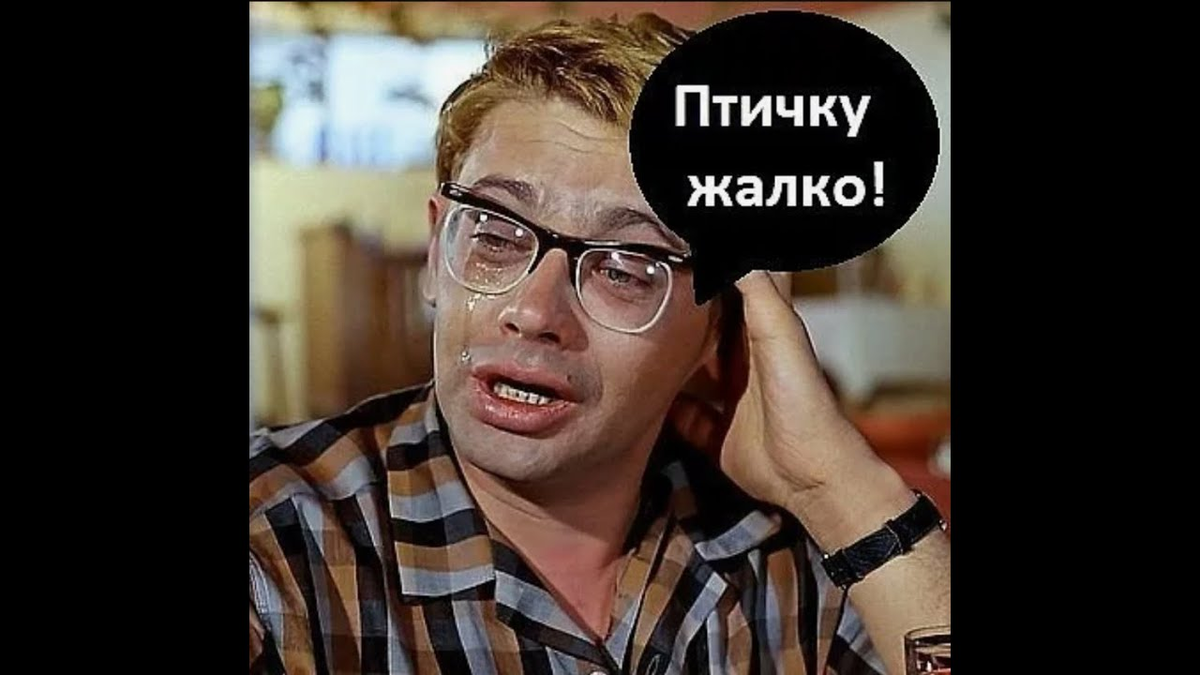 Кадр из х/ф Кавказская пленница, реж. Л.Гайдай, 1967г., фото в свободном доступе из интернета. 