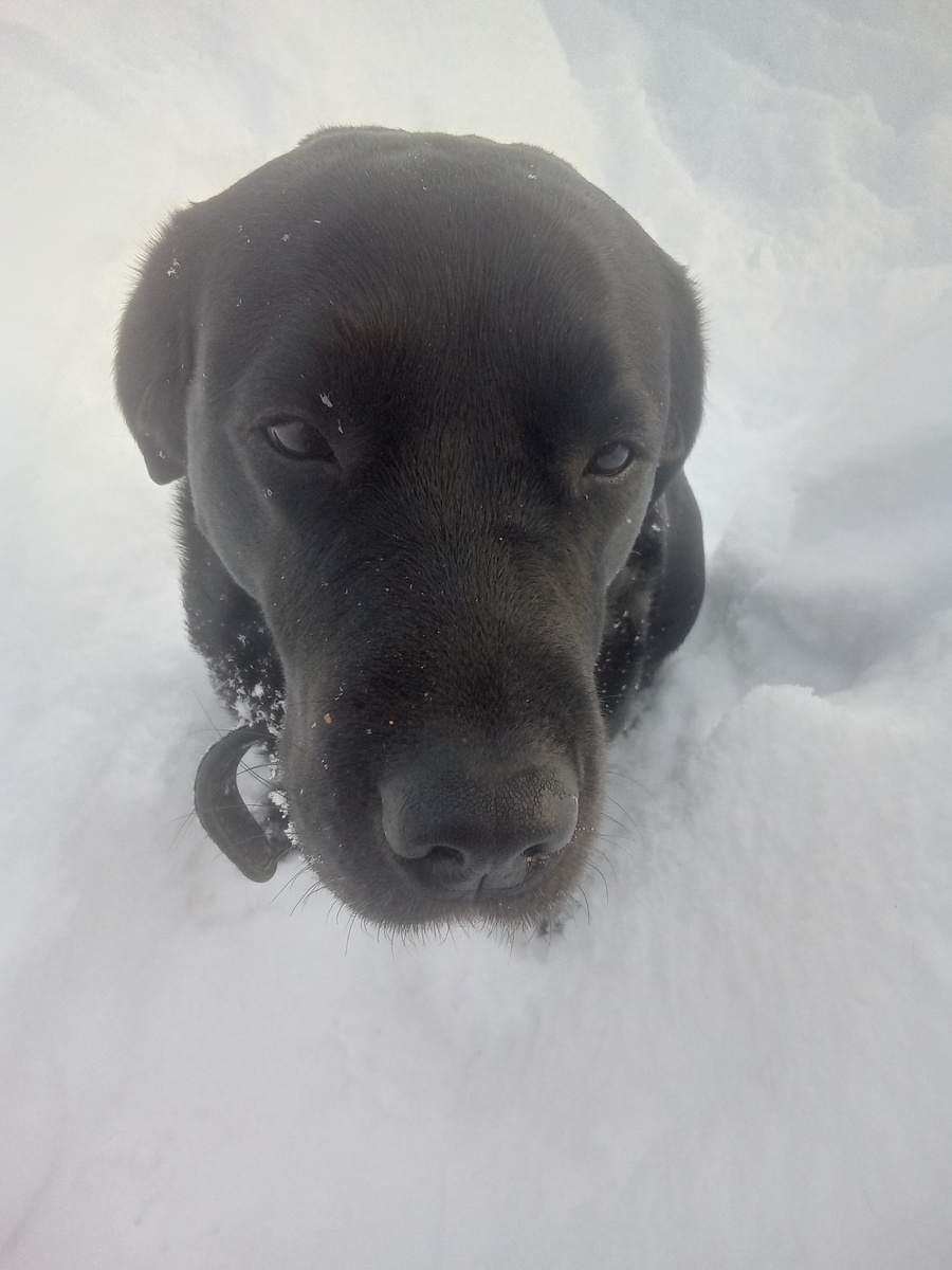 Фото автора. 