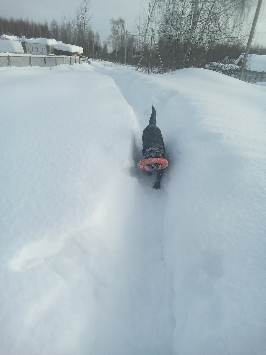 Фото автора. 