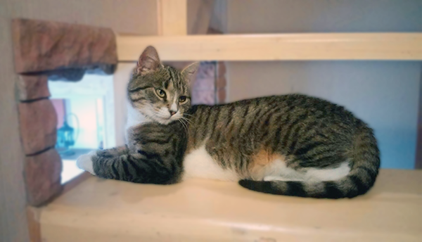 Кисаня в пять месяцев