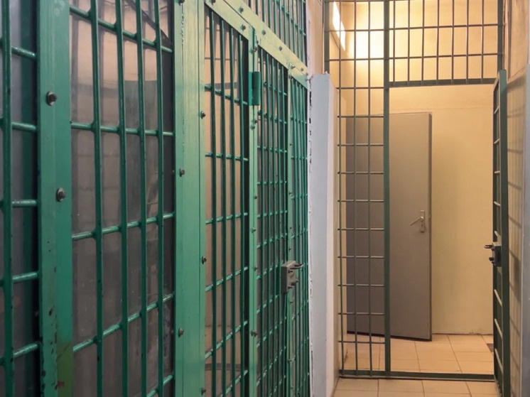     Фото: Дмитрий Шамолин