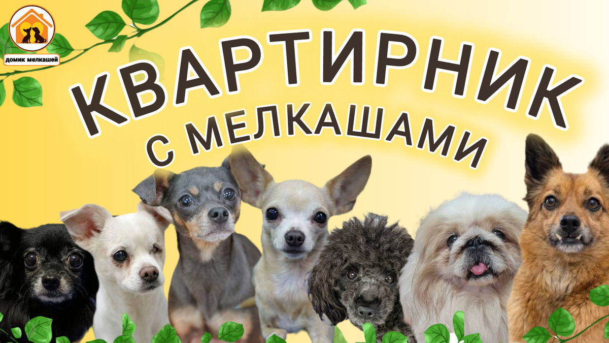 Квартирник в Домике Мелкашей