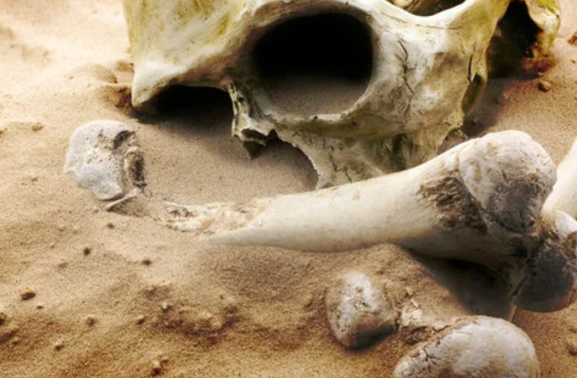 Фото: stock.adobe.com