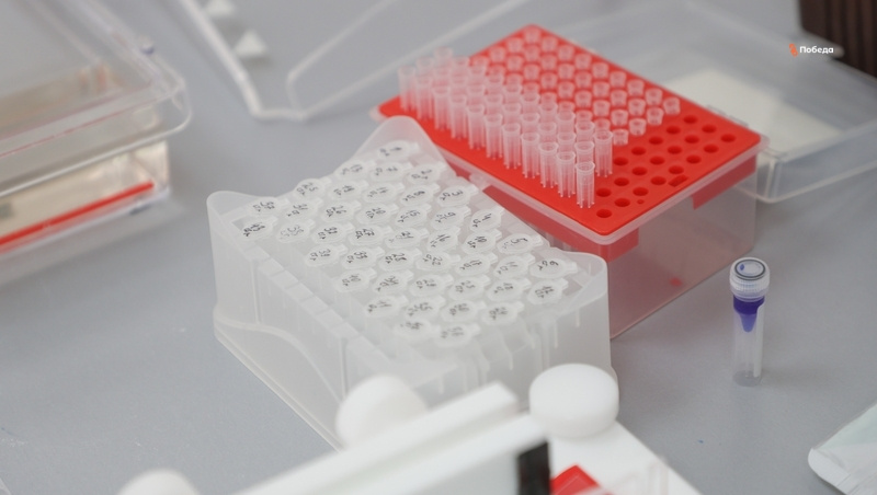      Фото: ИА «Победа26»